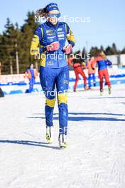 08.02.2023, Oberhof, Germany (GER): Hanna Oeberg (SWE) - IBU World Championships Biathlon, mixed relay, Oberhof (GER). www.nordicfocus.com. © Manzoni/NordicFocus. Every downloaded picture is fee-liable.