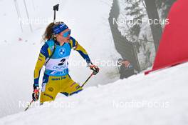 12.02.2023, Oberhof, Germany (GER): Hanna Oeberg (SWE) - IBU World Championships Biathlon, pursuit women, Oberhof (GER). www.nordicfocus.com. © Reichert/NordicFocus. Every downloaded picture is fee-liable.