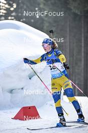 10.02.2023, Oberhof, Germany (GER): Mona Brorsson (SWE) - IBU World Championships Biathlon, sprint women, Oberhof (GER). www.nordicfocus.com. © Reichert/NordicFocus. Every downloaded picture is fee-liable.