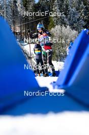 07.02.2023, Oberhof, Germany (GER): Samuela Comola (ITA) - IBU World Championships Biathlon, training, Oberhof (GER). www.nordicfocus.com. © Reichert/NordicFocus. Every downloaded picture is fee-liable.