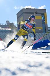 07.02.2023, Oberhof, Germany (GER): Mona Brorsson (SWE) - IBU World Championships Biathlon, training, Oberhof (GER). www.nordicfocus.com. © Reichert/NordicFocus. Every downloaded picture is fee-liable.