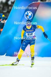 26.11.2023, Oestersund, Sweden, (SWE): Hanna Oeberg (SWE) - IBU World Cup Biathlon, individual women, Oestersund (SWE). www.nordicfocus.com. © Authamayou/NordicFocus. Every downloaded picture is fee-liable.