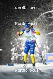 29.11.2023, Oestersund, Sweden, (SWE): Linn Persson (SWE) - IBU World Cup Biathlon, relay women, Oestersund (SWE). www.nordicfocus.com. © Authamayou/NordicFocus. Every downloaded picture is fee-liable.