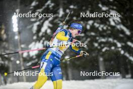 29.11.2023, Oestersund, Sweden, (SWE): Elvira Oeberg (SWE) - IBU World Cup Biathlon, relay women, Oestersund (SWE). www.nordicfocus.com. © Authamayou/NordicFocus. Every downloaded picture is fee-liable.