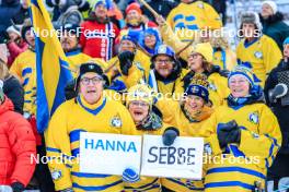 25.11.2023, Oestersund, Sweden, (SWE): Event Feature: Swedish fans on the grandstand - IBU World Cup Biathlon, single mixed relay, Oestersund (SWE). www.nordicfocus.com. © Manzoni/NordicFocus. Every downloaded picture is fee-liable.