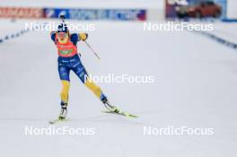 25.11.2023, Oestersund, Sweden, (SWE): Hanna Oeberg (SWE) - IBU World Cup Biathlon, single mixed relay, Oestersund (SWE). www.nordicfocus.com. © Manzoni/NordicFocus. Every downloaded picture is fee-liable.
