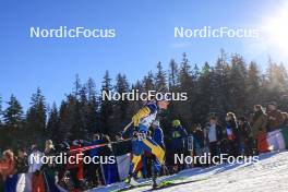 16.12.2023, Lenzerheide, Switzerland (SUI): Hanna Oeberg (SWE) - IBU World Cup Biathlon, pursuit women, Lenzerheide (SUI). www.nordicfocus.com. © Manzoni/NordicFocus. Every downloaded picture is fee-liable.