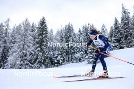 14.12.2023, Lenzerheide, Switzerland (SUI): Dorothea Wierer (ITA) - IBU World Cup Biathlon, sprint women, Lenzerheide (SUI). www.nordicfocus.com. © Manzoni/NordicFocus. Every downloaded picture is fee-liable.