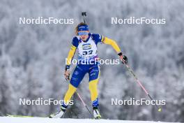 14.12.2023, Lenzerheide, Switzerland (SUI): Hanna Oeberg (SWE) - IBU World Cup Biathlon, sprint women, Lenzerheide (SUI). www.nordicfocus.com. © Manzoni/NordicFocus. Every downloaded picture is fee-liable.