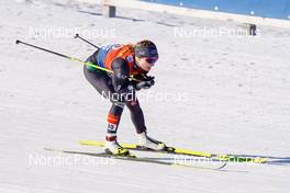 06.01.2023, Val di Fiemme, Italy (ITA): Martina Di Centa (ITA) - FIS world cup cross-country, tour de ski, individual sprint, Val di Fiemme (ITA). www.nordicfocus.com. © Barbieri/NordicFocus. Every downloaded picture is fee-liable.