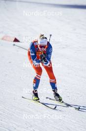 06.01.2023, Val di Fiemme, Italy (ITA): Tereza Beranova (CZE) - FIS world cup cross-country, tour de ski, individual sprint, Val di Fiemme (ITA). www.nordicfocus.com. © Barbieri/NordicFocus. Every downloaded picture is fee-liable.