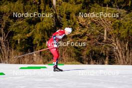 07.01.2023, Val di Fiemme, Italy (ITA): Tiril Udnes Weng (NOR) - FIS world cup cross-country, tour de ski, mass, Val di Fiemme (ITA). www.nordicfocus.com. © Barbieri/NordicFocus. Every downloaded picture is fee-liable.