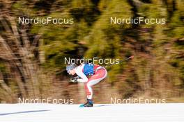 07.01.2023, Val di Fiemme, Italy (ITA): Nadine Faehndrich (SUI) - FIS world cup cross-country, tour de ski, mass, Val di Fiemme (ITA). www.nordicfocus.com. © Barbieri/NordicFocus. Every downloaded picture is fee-liable.