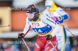 21.01.2023, Livigno, Italy (ITA): Alina Meier (SUI) - FIS world cup cross-country, individual sprint, Livigno (ITA). www.nordicfocus.com. © Modica/NordicFocus. Every downloaded picture is fee-liable.