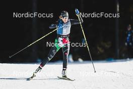 04.02.2023, Toblach, Italy (ITA): Cristina Pittin (ITA) - FIS world cup cross-country, 10km, Toblach (ITA). www.nordicfocus.com. © Modica/NordicFocus. Every downloaded picture is fee-liable.