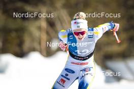 04.02.2023, Toblach, Italy (ITA): Emma Ribom (SWE) - FIS world cup cross-country, 10km, Toblach (ITA). www.nordicfocus.com. © Modica/NordicFocus. Every downloaded picture is fee-liable.