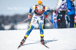 03.02.2023, Toblach, Italy (ITA): Emma Ribom (SWE) - FIS world cup cross-country, individual sprint, Toblach (ITA). www.nordicfocus.com. © Modica/NordicFocus. Every downloaded picture is fee-liable.