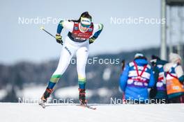 03.02.2023, Toblach, Italy (ITA): Eduarda Ribera (BRA) - FIS world cup cross-country, individual sprint, Toblach (ITA). www.nordicfocus.com. © Modica/NordicFocus. Every downloaded picture is fee-liable.