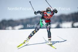 03.02.2023, Toblach, Italy (ITA): Federica Sanfilippo (ITA) - FIS world cup cross-country, individual sprint, Toblach (ITA). www.nordicfocus.com. © Modica/NordicFocus. Every downloaded picture is fee-liable.