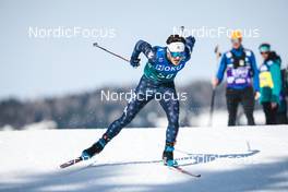 03.02.2023, Toblach, Italy (ITA): Will Koch (USA) - FIS world cup cross-country, individual sprint, Toblach (ITA). www.nordicfocus.com. © Modica/NordicFocus. Every downloaded picture is fee-liable.