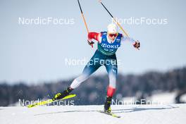 03.02.2023, Toblach, Italy (ITA): Niks Saulitis (LAT) - FIS world cup cross-country, individual sprint, Toblach (ITA). www.nordicfocus.com. © Modica/NordicFocus. Every downloaded picture is fee-liable.