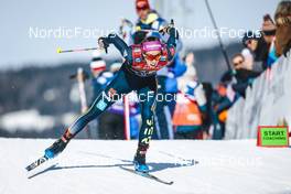 03.02.2023, Toblach, Italy (ITA): Sofie Krehl (GER) - FIS world cup cross-country, individual sprint, Toblach (ITA). www.nordicfocus.com. © Modica/NordicFocus. Every downloaded picture is fee-liable.