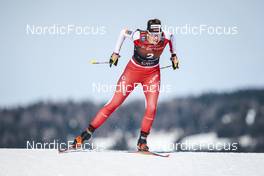 03.02.2023, Toblach, Italy (ITA): Desiree Steiner (SUI) - FIS world cup cross-country, individual sprint, Toblach (ITA). www.nordicfocus.com. © Modica/NordicFocus. Every downloaded picture is fee-liable.