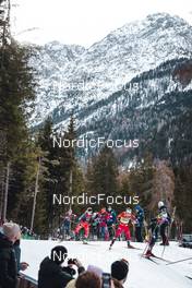 03.02.2023, Toblach, Italy (ITA): Hailey Swirbul (USA), Katerina Janatova (CZE), Tiril Udnes Weng (NOR), Victoria Carl (GER), (l-r)  - FIS world cup cross-country, individual sprint, Toblach (ITA). www.nordicfocus.com. © Modica/NordicFocus. Every downloaded picture is fee-liable.
