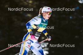 05.02.2023, Toblach, Italy (ITA): Johanna Hagstroem (SWE) - FIS world cup cross-country, relay, Toblach (ITA). www.nordicfocus.com. © Modica/NordicFocus. Every downloaded picture is fee-liable.