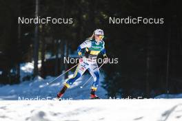 05.02.2023, Toblach, Italy (ITA): Johanna Hagstroem (SWE) - FIS world cup cross-country, relay, Toblach (ITA). www.nordicfocus.com. © Modica/NordicFocus. Every downloaded picture is fee-liable.