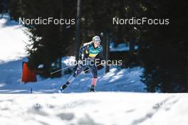 05.02.2023, Toblach, Italy (ITA): Jessie Diggins (USA) - FIS world cup cross-country, relay, Toblach (ITA). www.nordicfocus.com. © Modica/NordicFocus. Every downloaded picture is fee-liable.