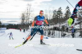 11.03.2023, Oslo, Norway (NOR): Mattis Stenshagen (NOR) - FIS world cup cross-country, mass men, Oslo (NOR). www.nordicfocus.com. © Modica/NordicFocus. Every downloaded picture is fee-liable.