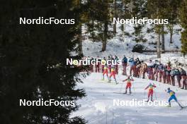 12.03.2023, Oslo, Norway (NOR): Heidi Weng (NOR), Silje Theodorsen (NOR), Marte Skaanes (NOR), Karoline Simpson-Larsen (NOR), Emmi Lamsa (FIN), (l-r)  - FIS world cup cross-country, mass women, Oslo (NOR). www.nordicfocus.com. © Modica/NordicFocus. Every downloaded picture is fee-liable.