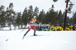 18.03.2023, Falun, Sweden (SWE): Ane Appelkvist Stenseth (NOR) - FIS world cup cross-country, individual sprint, Falun (SWE). www.nordicfocus.com. © Modica/NordicFocus. Every downloaded picture is fee-liable.