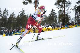 18.03.2023, Falun, Sweden (SWE): Teresa Stadlober (AUT) - FIS world cup cross-country, individual sprint, Falun (SWE). www.nordicfocus.com. © Modica/NordicFocus. Every downloaded picture is fee-liable.