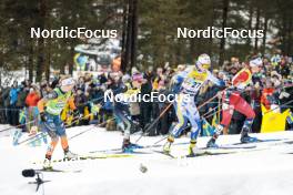 18.03.2023, Falun, Sweden (SWE): Patricija Eiduka (LAT), Sofie Krehl (GER), Maerta Rosenberg (SWE), Ane Appelkvist Stenseth (NOR), (l-r)  - FIS world cup cross-country, individual sprint, Falun (SWE). www.nordicfocus.com. © Modica/NordicFocus. Every downloaded picture is fee-liable.