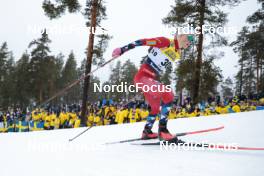 18.03.2023, Falun, Sweden (SWE): Anne Kjersti Kalvaa (NOR) - FIS world cup cross-country, individual sprint, Falun (SWE). www.nordicfocus.com. © Modica/NordicFocus. Every downloaded picture is fee-liable.