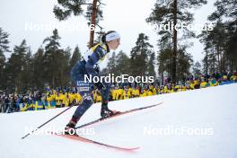 18.03.2023, Falun, Sweden (SWE): Lauren Jortberg (USA) - FIS world cup cross-country, individual sprint, Falun (SWE). www.nordicfocus.com. © Modica/NordicFocus. Every downloaded picture is fee-liable.