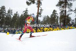 18.03.2023, Falun, Sweden (SWE): Tiril Udnes Weng (NOR) - FIS world cup cross-country, individual sprint, Falun (SWE). www.nordicfocus.com. © Modica/NordicFocus. Every downloaded picture is fee-liable.