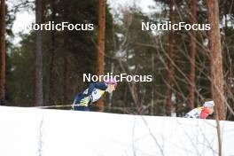 18.03.2023, Falun, Sweden (SWE): Sofie Krehl (GER) - FIS world cup cross-country, individual sprint, Falun (SWE). www.nordicfocus.com. © Modica/NordicFocus. Every downloaded picture is fee-liable.