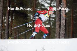 18.03.2023, Falun, Sweden (SWE): Harald Oestberg Amundsen (NOR) - FIS world cup cross-country, individual sprint, Falun (SWE). www.nordicfocus.com. © Modica/NordicFocus. Every downloaded picture is fee-liable.