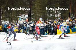 18.03.2023, Falun, Sweden (SWE): Rosie Brennan (USA), Anne Kjersti Kalvaa (NOR), Johanna Hagstroem (SWE), (l-r)  - FIS world cup cross-country, individual sprint, Falun (SWE). www.nordicfocus.com. © Modica/NordicFocus. Every downloaded picture is fee-liable.