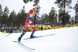 18.03.2023, Falun, Sweden (SWE): Ane Appelkvist Stenseth (NOR) - FIS world cup cross-country, individual sprint, Falun (SWE). www.nordicfocus.com. © Modica/NordicFocus. Every downloaded picture is fee-liable.