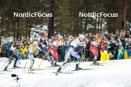 18.03.2023, Falun, Sweden (SWE): Sofie Krehl (GER), Maerta Rosenberg (SWE), Ane Appelkvist Stenseth (NOR), Maja Dahlqvist (SWE), Julie Myhre (NOR), (l-r)  - FIS world cup cross-country, individual sprint, Falun (SWE). www.nordicfocus.com. © Modica/NordicFocus. Every downloaded picture is fee-liable.
