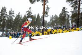18.03.2023, Falun, Sweden (SWE): Lotta Udnes Weng (NOR) - FIS world cup cross-country, individual sprint, Falun (SWE). www.nordicfocus.com. © Modica/NordicFocus. Every downloaded picture is fee-liable.
