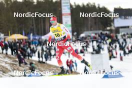 19.03.2023, Falun, Sweden (SWE): Maciej Starega (POL) - FIS world cup cross-country, mixed relay, Falun (SWE). www.nordicfocus.com. © Modica/NordicFocus. Every downloaded picture is fee-liable.