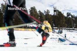 19.03.2023, Falun, Sweden (SWE): Le Gruyere FIS world cup cross-country, mixed relay, Falun (SWE). www.nordicfocus.com. © Modica/NordicFocus. Every downloaded picture is fee-liable.