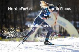 21.03.2023, Tallinn, Estonia (EST): Samantha Smith (USA) - FIS world cup cross-country, individual sprint, Tallinn (EST). www.nordicfocus.com. © Modica/NordicFocus. Every downloaded picture is fee-liable.