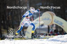 21.03.2023, Tallinn, Estonia (EST): Maja Dahlqvist (SWE) - FIS world cup cross-country, individual sprint, Tallinn (EST). www.nordicfocus.com. © Modica/NordicFocus. Every downloaded picture is fee-liable.