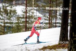 25.03.2023, Lahti, Finland (FIN): Ane Appelkvist Stenseth (NOR) - FIS world cup cross-country, individual sprint, Lahti (FIN). www.nordicfocus.com. © Modica/NordicFocus. Every downloaded picture is fee-liable.